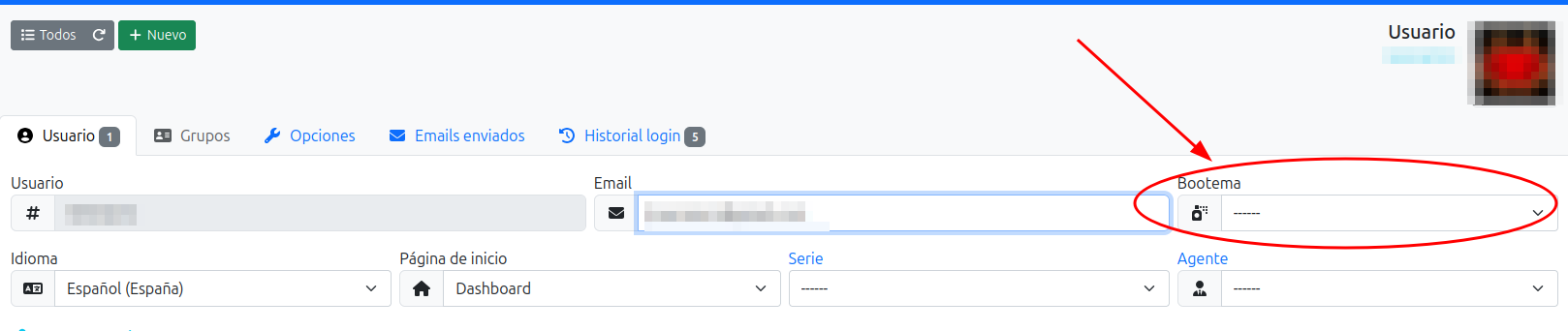 personalizar diseño usuario