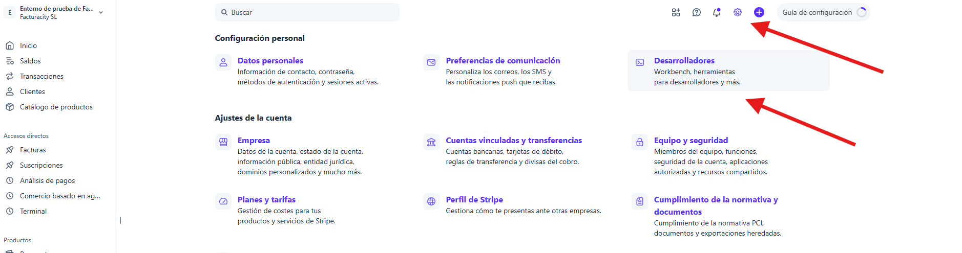DESARROLLADORES